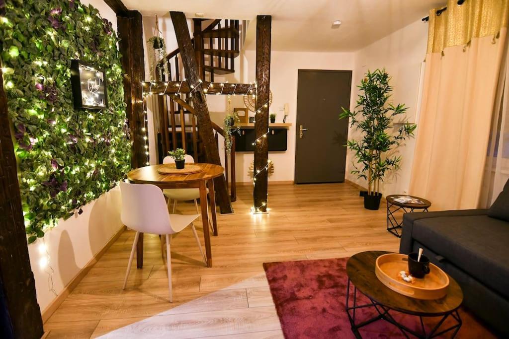 Appartamento Le Petit Bali Sélestat Esterno foto